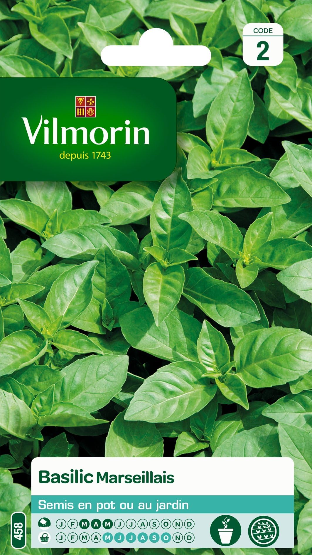 250 Graines De Menthe Verte (Mentha Spicata) - Herbe Aromatique Facile à Cultiver - Pour Jardin, Potager, Balcon