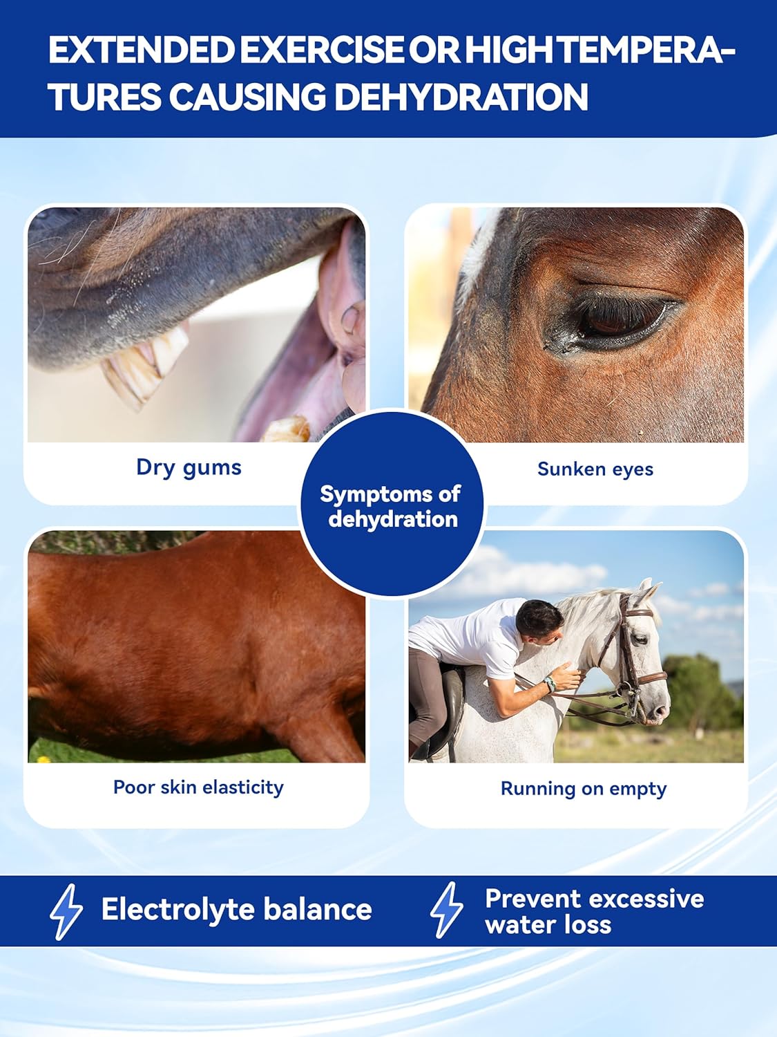 Horse Electrolytes Powder, Electrolyte for Horses with Sodium & Potassium, Equine Hydration Supplement-1400g