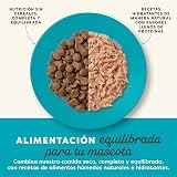 Ver la foto 2