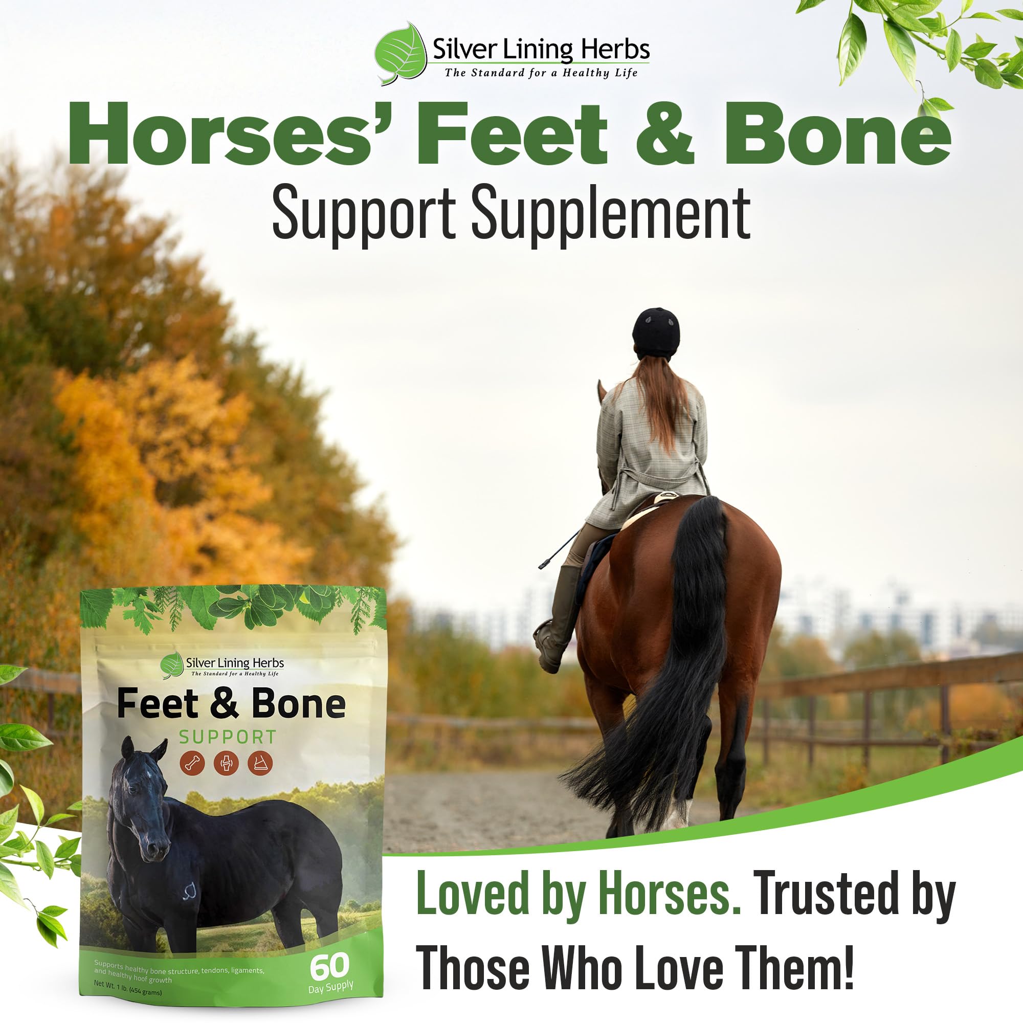 Silver Lining Herbs Feet & Bone Horse Hoof Supplements, Tendons — Amazon image 6