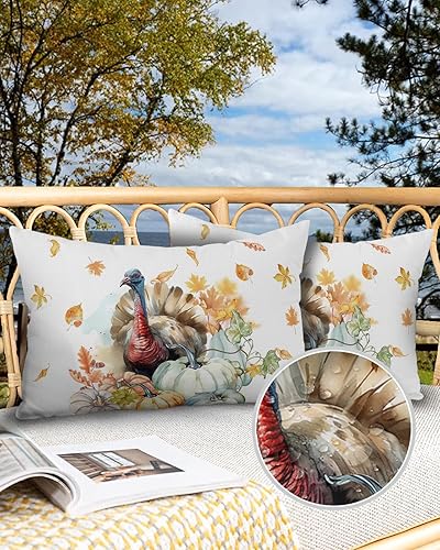 Miniatura 2 de Chinoiserie - Juego de 2 fundas de almohada de porcelana impermeables para sofá, fundas de almohada decorativas de cosecha de otoño de 20 x 12