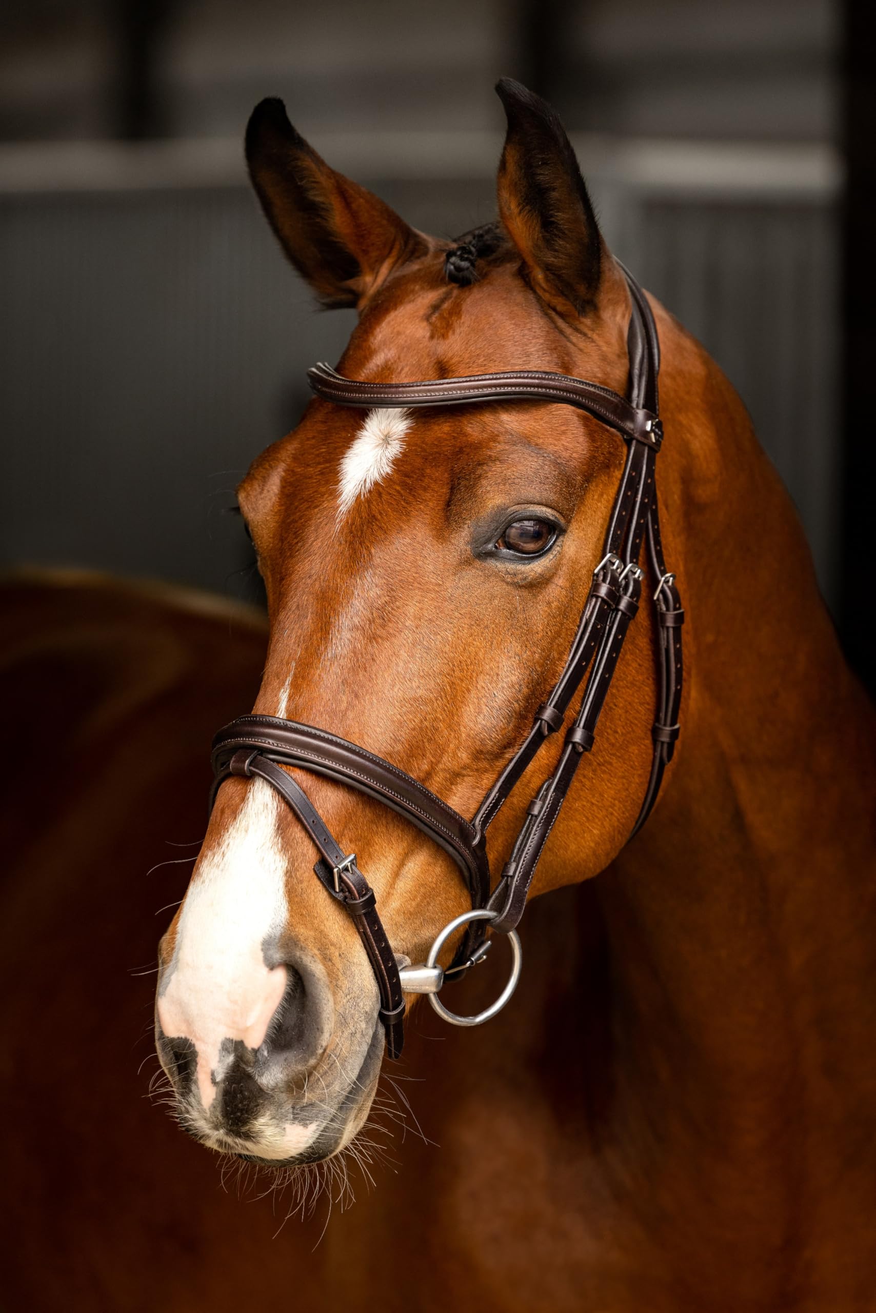 LeMieux Arika Flash Bridle - Brida, color marrón/plateado
