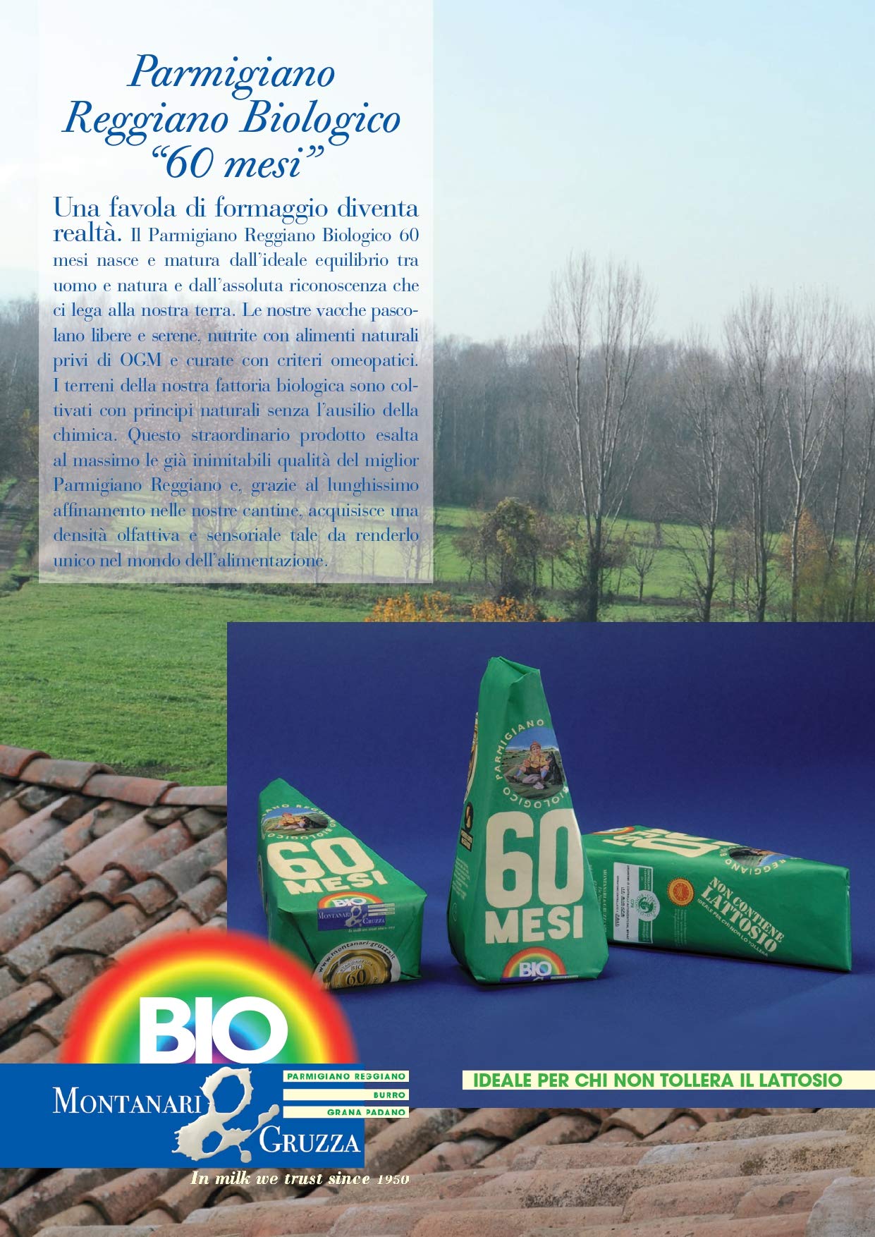 Parmigiano Reggiano Biologico scelto Extra 60 mesi Punta da 0.5 Kg Sottovuoto Incartata