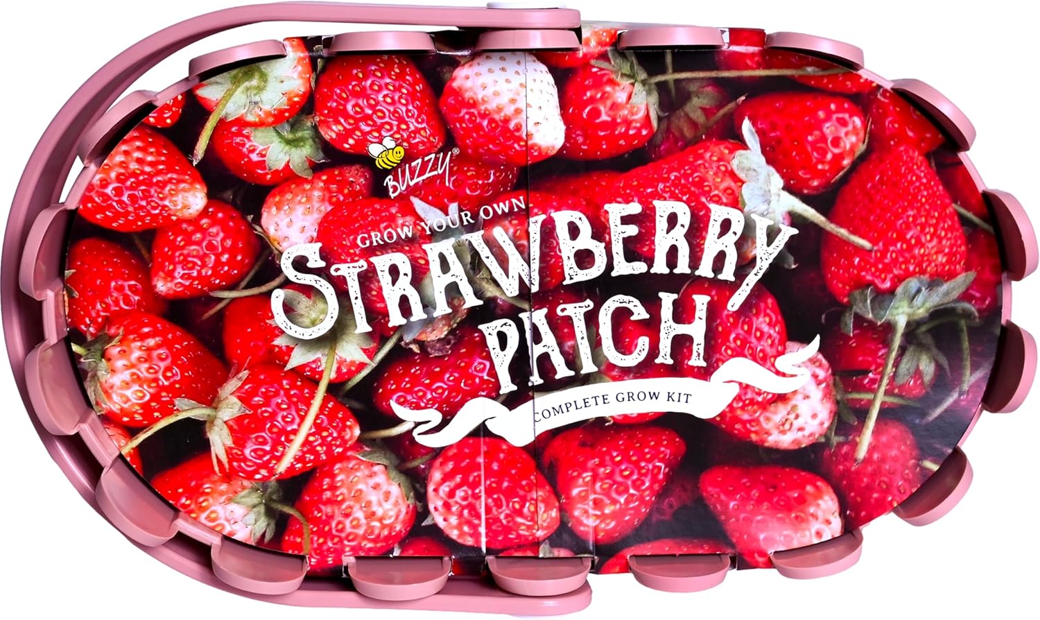Buzzy Seeds Strawberry Grow Kit Pink Picket Fence Berry Basket with Grandian Seeds, Indoor Planting Starter Kit, DIY Garden Project, Gardening Gift for Women