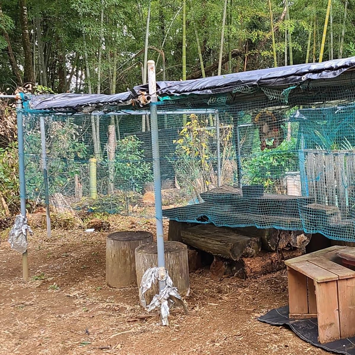 Revestimiento Negro de Primera Calidad para estanques: Membrana Flexible e Impermeable (8x5 Metros) Apta para estanques de Peces y Piscinas, y soluciones de paisajismo para Jardines resisten