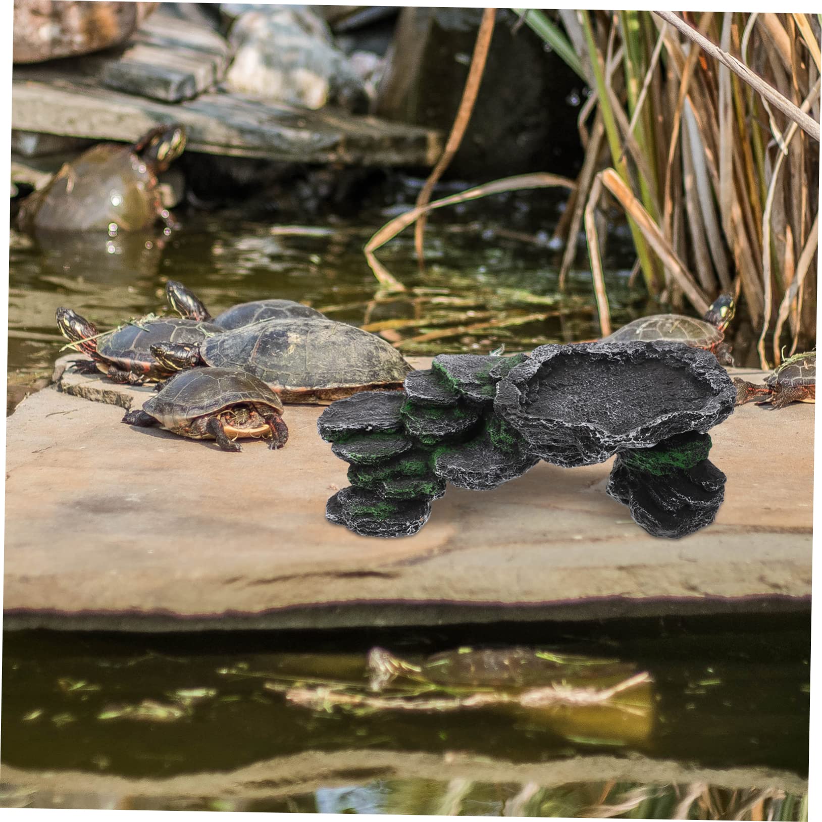 minkissy Piattaforma Per Tartarughe Resina Simulata Rampetta Per Arrampicata Decorazione Per Acquario Nascondiglio Per Rettili Habitat Per Tartarughe e Lucertole