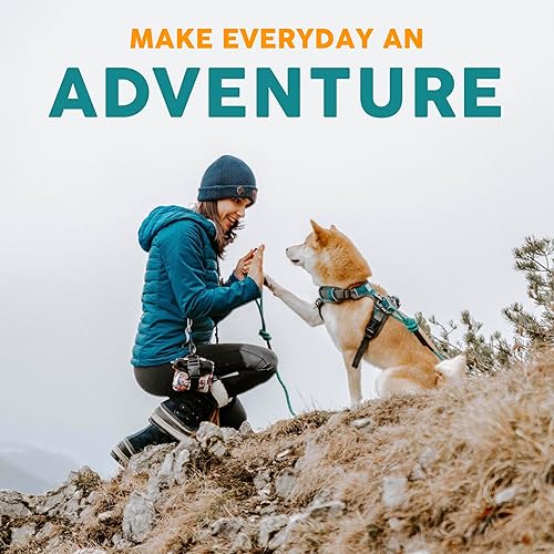 Miniatura 8 de Embark - Collar para perro urbano - Collar para perros medianos, pequeños y grandes., M