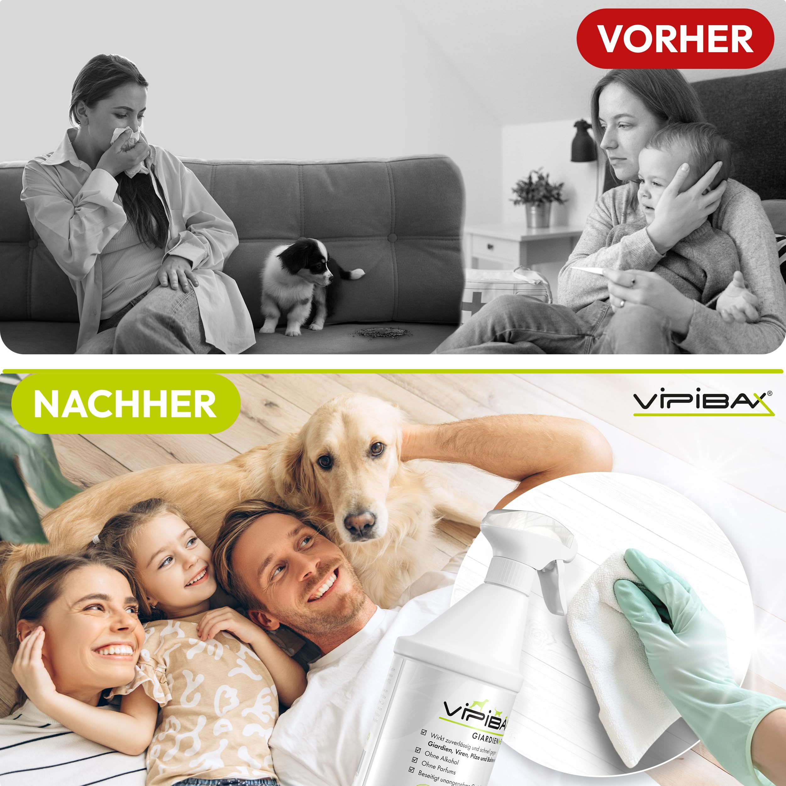ViPiBaX Giardien EX Hygiene-Spray für Hund, Katze & Co - Geruchsentferner - Hygiene-Spray - Effektive Desinfektion gegen Giardien, Viren, Pilze & Bakterien - 500ml