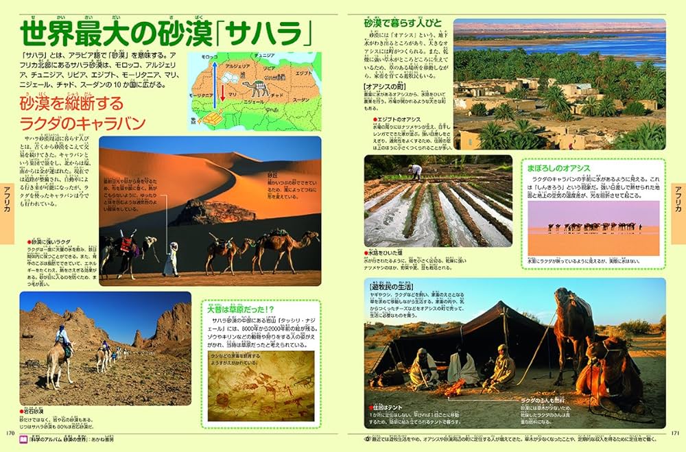 Amazon.co.jp: キッズペディア 世界の国ぐに : 小学館: Japanese