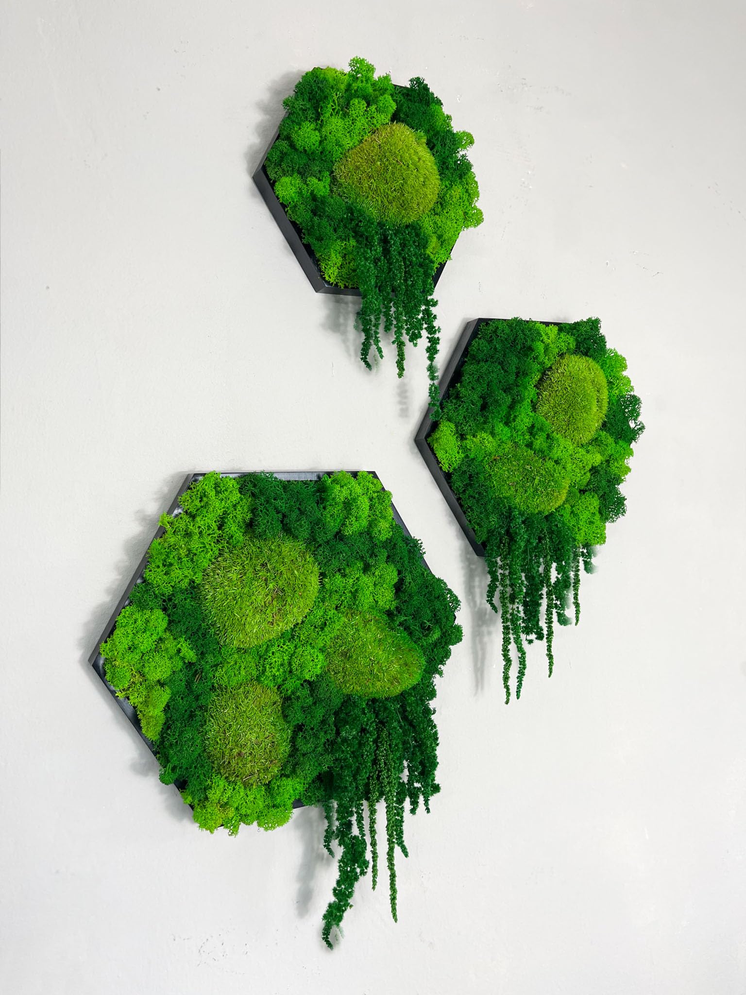 Gedankenwunder Manufaktur Island Ranke Moosbild Hexagon Sechseck