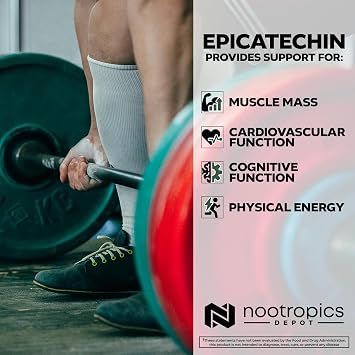 Nootropics Depot Epicatechin Tablets | 200mg Epicatechin + 6mg Piperine for Bioavailability | Green Tea Extract | Promotes Muscle Mass, Cardiovascular Health, and Energy | 30 Count