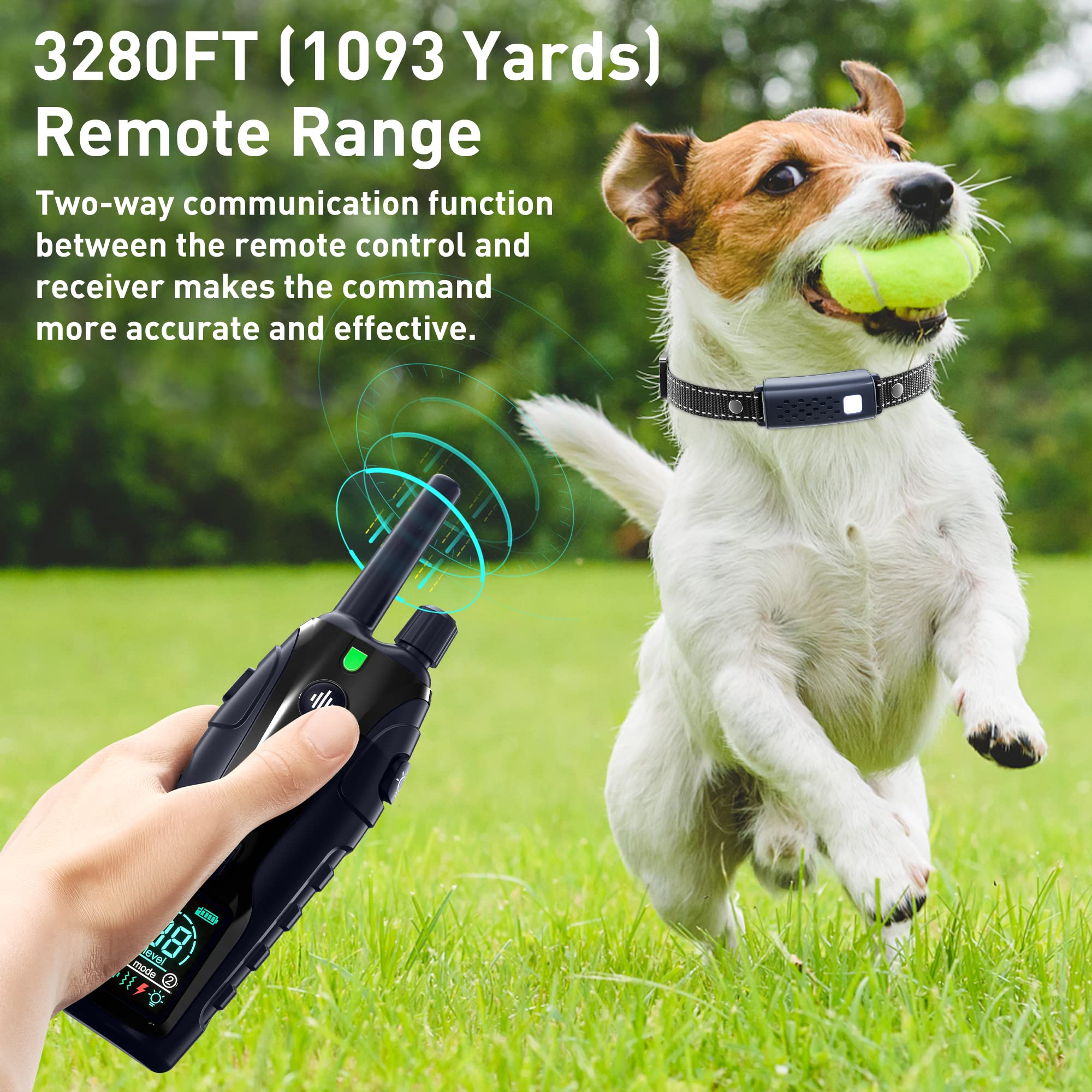 輸入雑貨のサニーネット1号店FATEAR Dog Shock Remote, with Electric Dogs Medium for