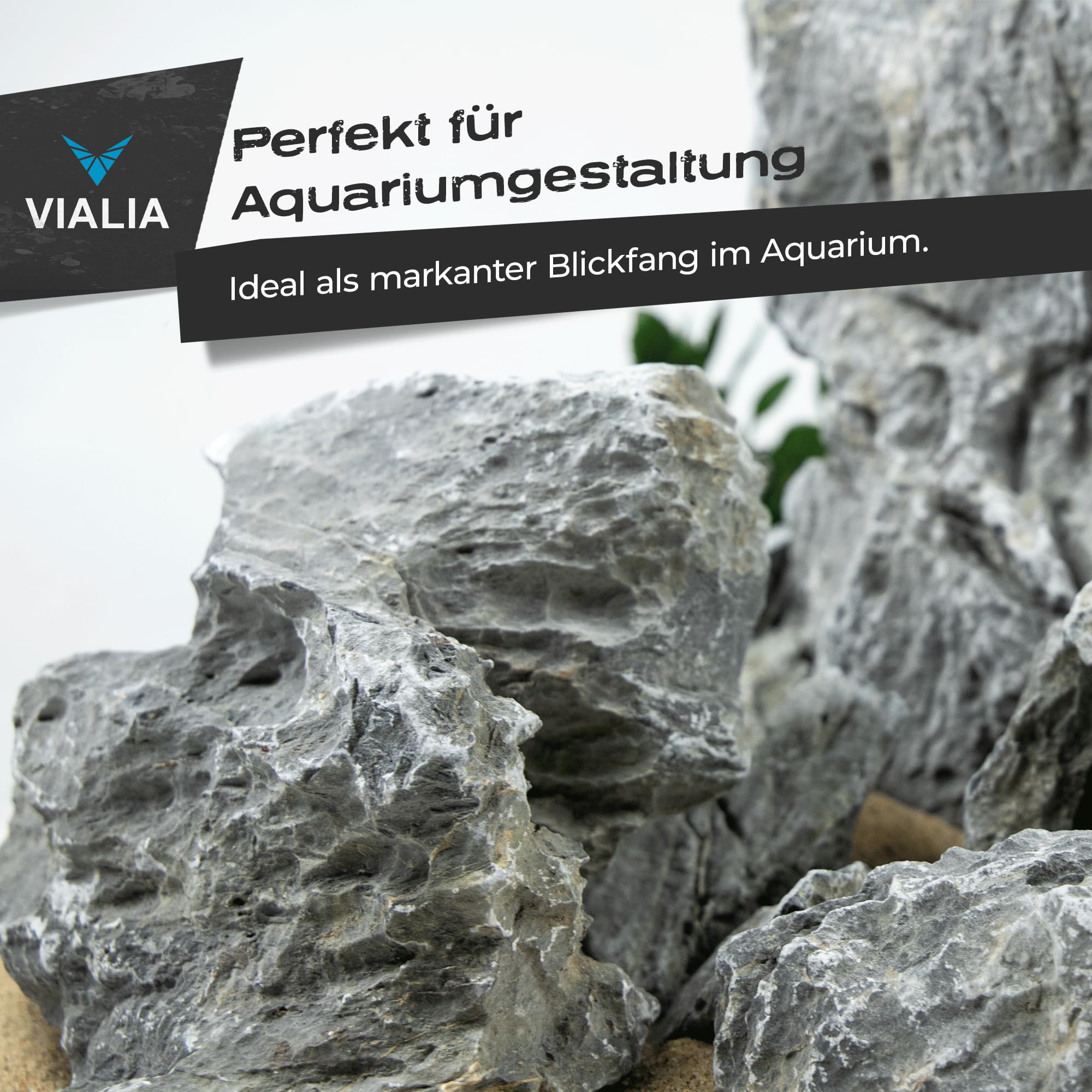 Seiryu Steine 25 kg | Mini Landschaft Aquarium Steine Mix S bis XL | Naturstein Deko für Aquascaping & Terrarium | Einzigartige Formen & Farben | Unterstützt stabiles Wasserklima