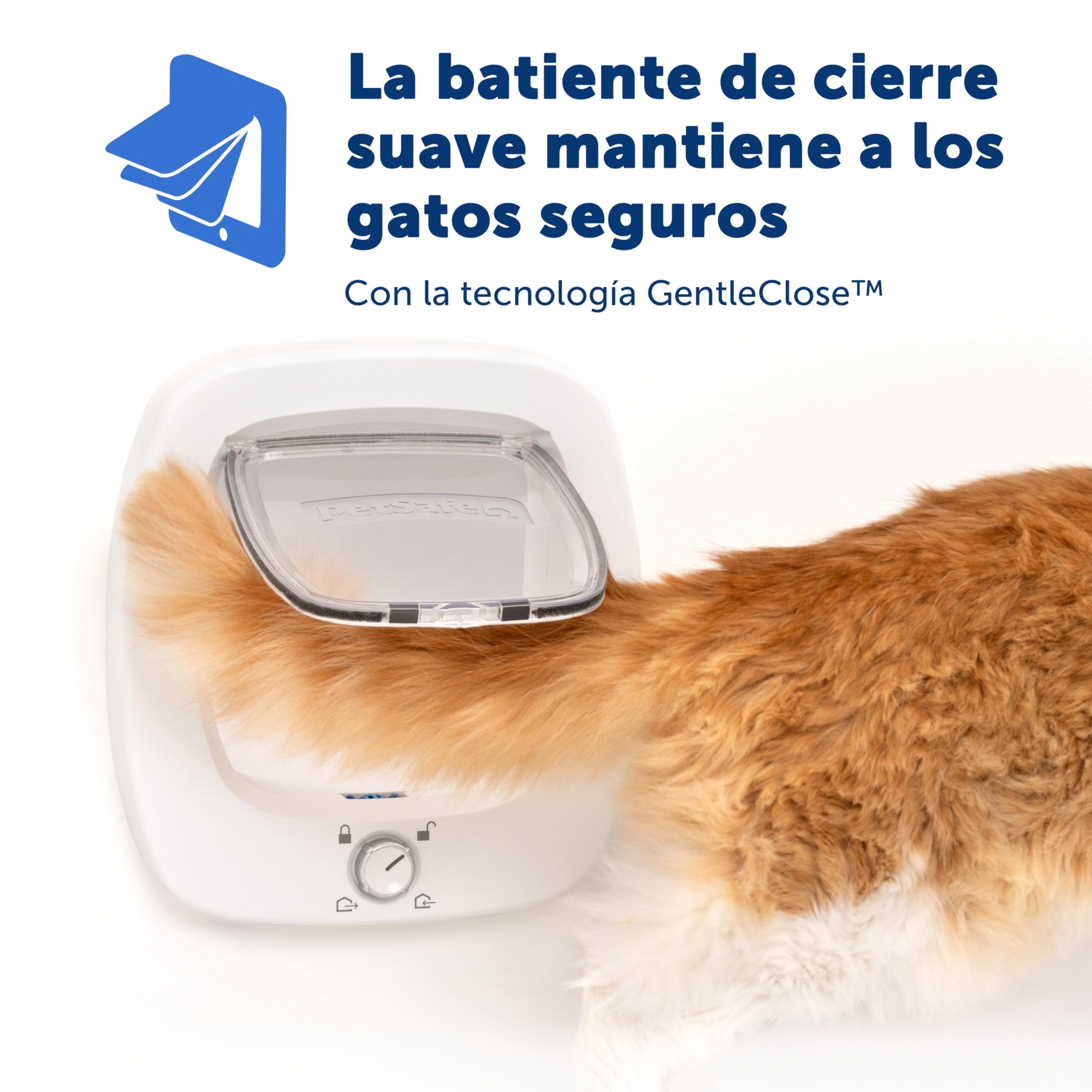 PetSafe Gatera con Microchip - Puerta para Mascotas Interior y Exterior - Bloqueo de 4 Modos y Cierre Suave - para Gatos y Perros Pequeños de hasta 11kg