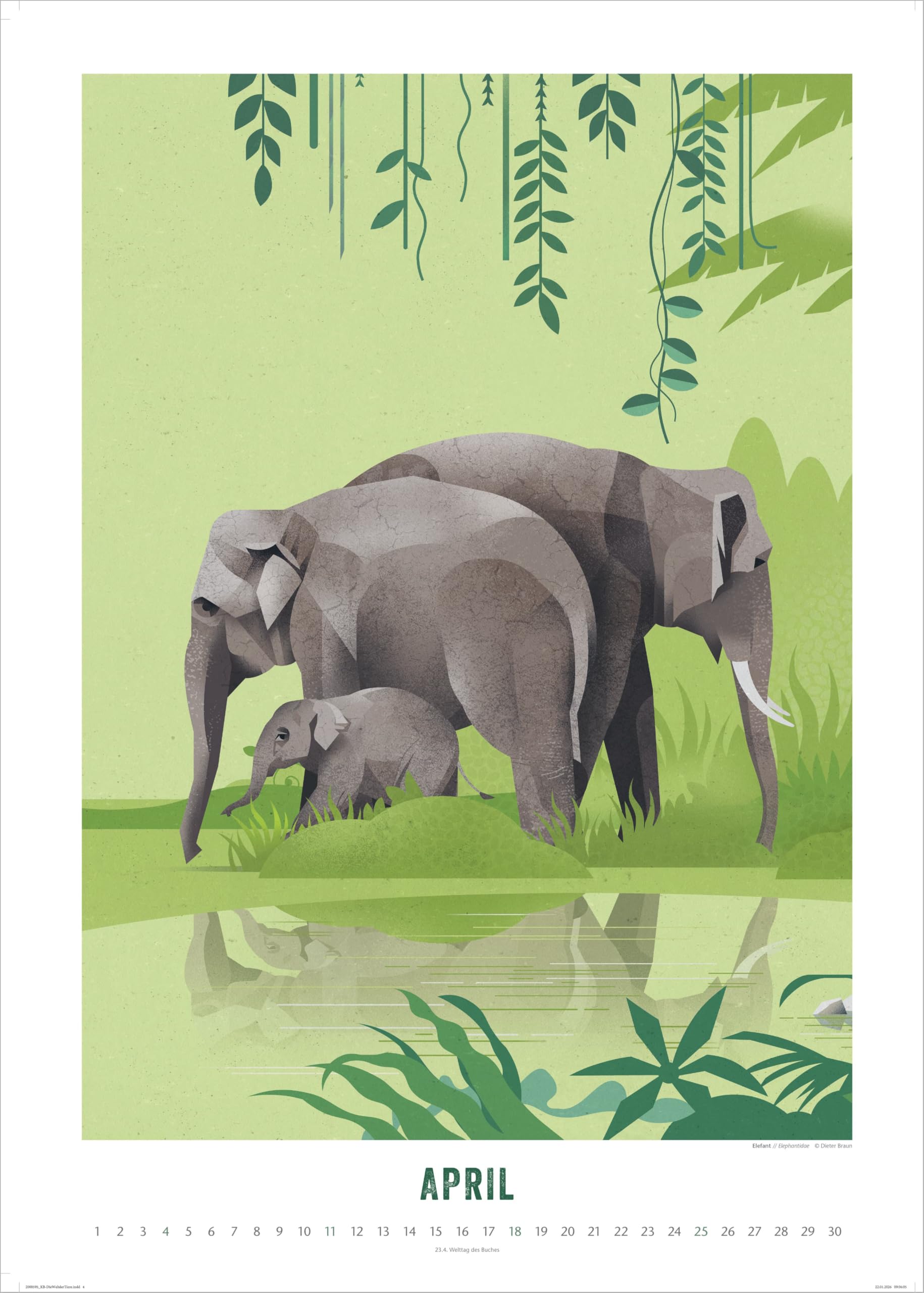Die Welt der Tiere 2027: Wandkalender 50 x 70 cm mit einzigartigen Tier-Illustrationen und Spiralbindung