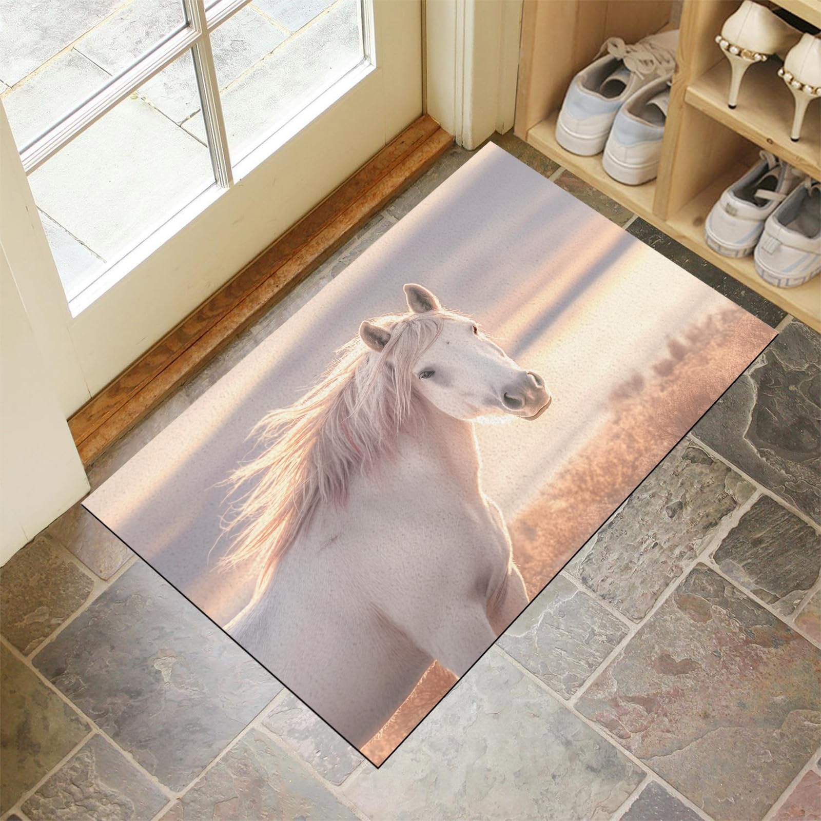 Paillasson extérieur idéal jardin et couloir tapis entrée motif cheval sauvage