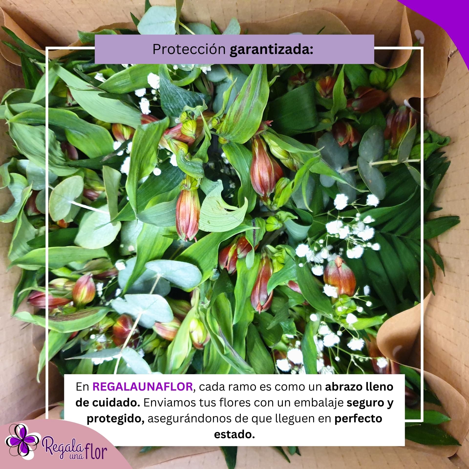 REGALAUNAFLOR | Ramo de flores naturales a domicilio | Entrega puntual en 24 horas de Lunes a Sábado | Con tarjeta de dedicatoria | Alstroemeria roja