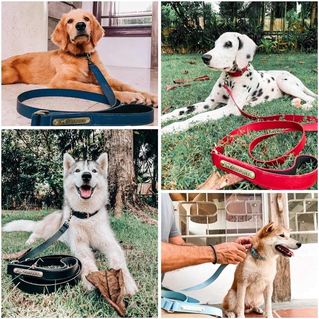 Tuff Pupper Classic Leash and Classic Collar (Neck Size 19-23") | Matching Midnight Blue Color | Stronger Than Leather | Waterproof | Odor Free | Rust Proof | Guaranteed for Life