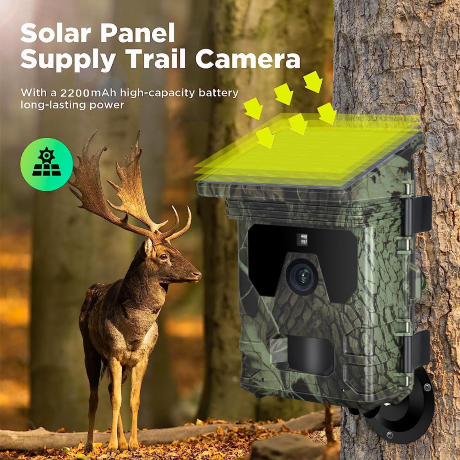 Diyeeni Caméra de Suivi WiFi 4K 50 MP Carte SD 256 Go, Caméra de Jeu avec Vision Nocturne, Déclencheur de Mouvement 0,05 S, étanche IP65, 30,5 M, LED Infrarouges sans Lueur pour la