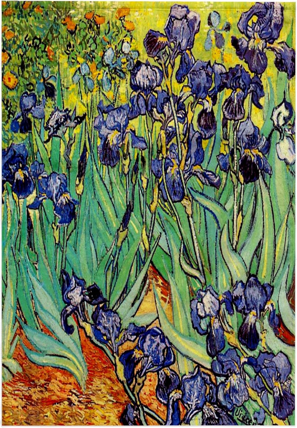 3dRose Irises by Vincent Van Gogh 1889 - Purple Flowers iris Garden - Copy of Famous Painting by the Master 22x30 Bath Hand Pool Towel