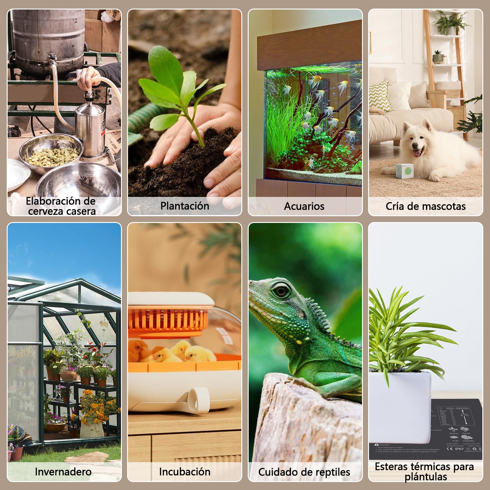 KETOTEK KT2000 Controlador de Temperatura Digital con Sonda Impermeable – Termostato de Enchufe para Calefacción y Refrigeración – para Reptiles, Acuario, Terrario, Invernadero