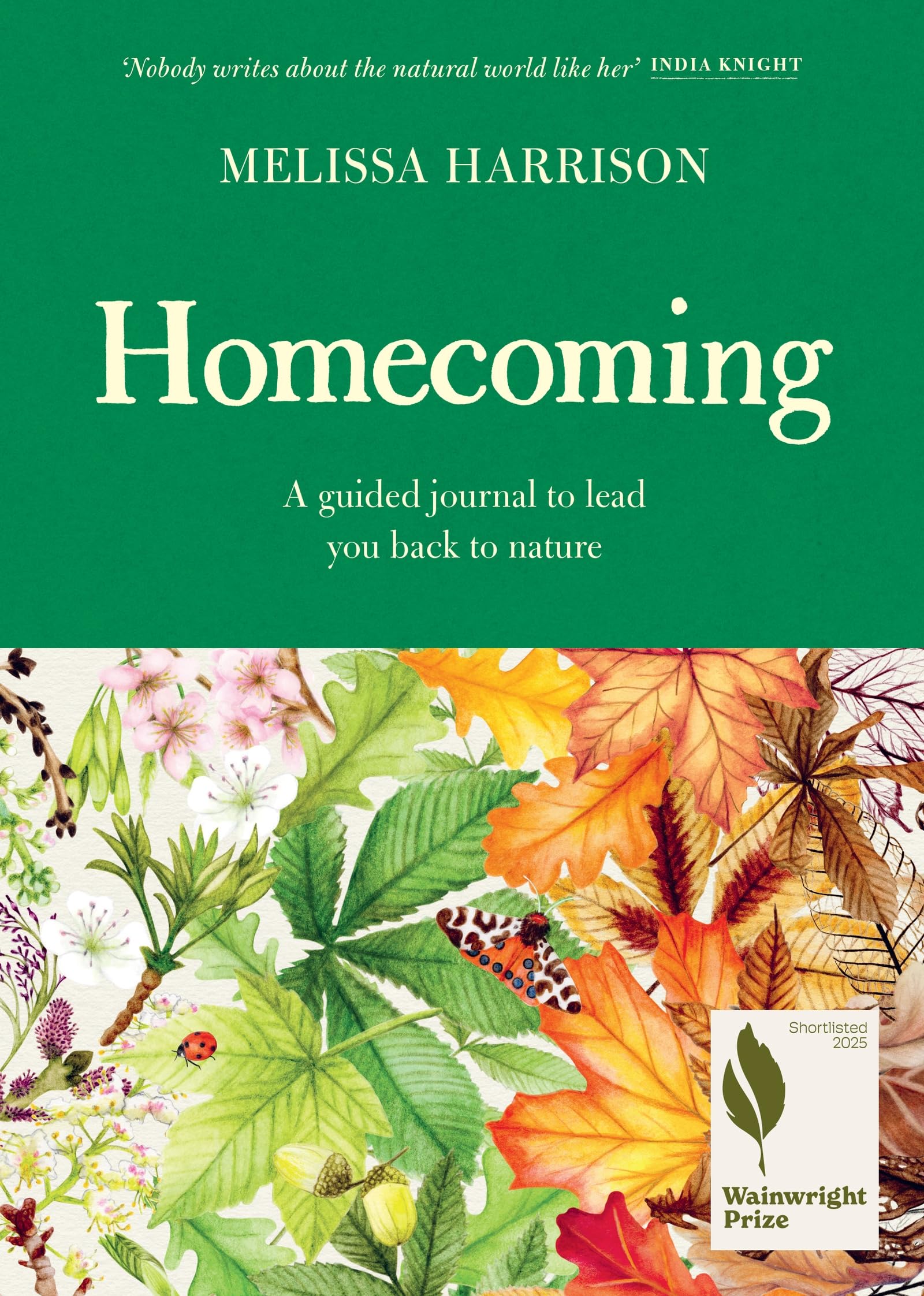 Homecoming by Melissa Harrison (Hardback Book)