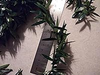 Vista 3 de Mini Wild Leaves Greenery Garland 6 Ft Length