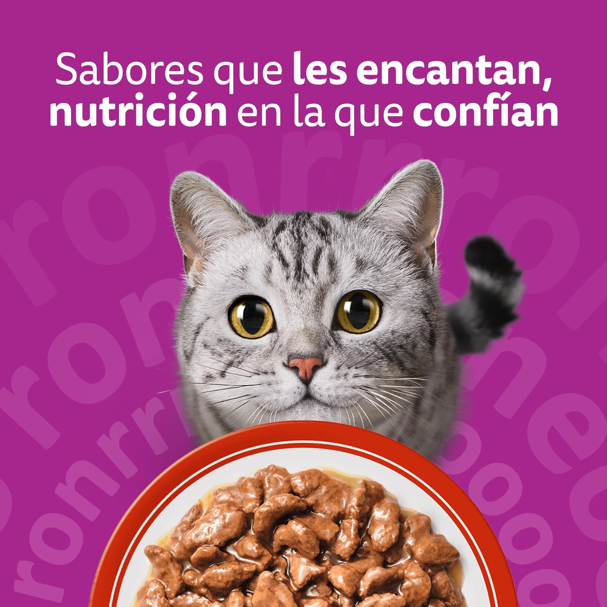 WHISKAS Duo Comida húmeda en Salsa Gatos Adultos Comb. Clásicas - 4 x 12 bolsitas x 85g