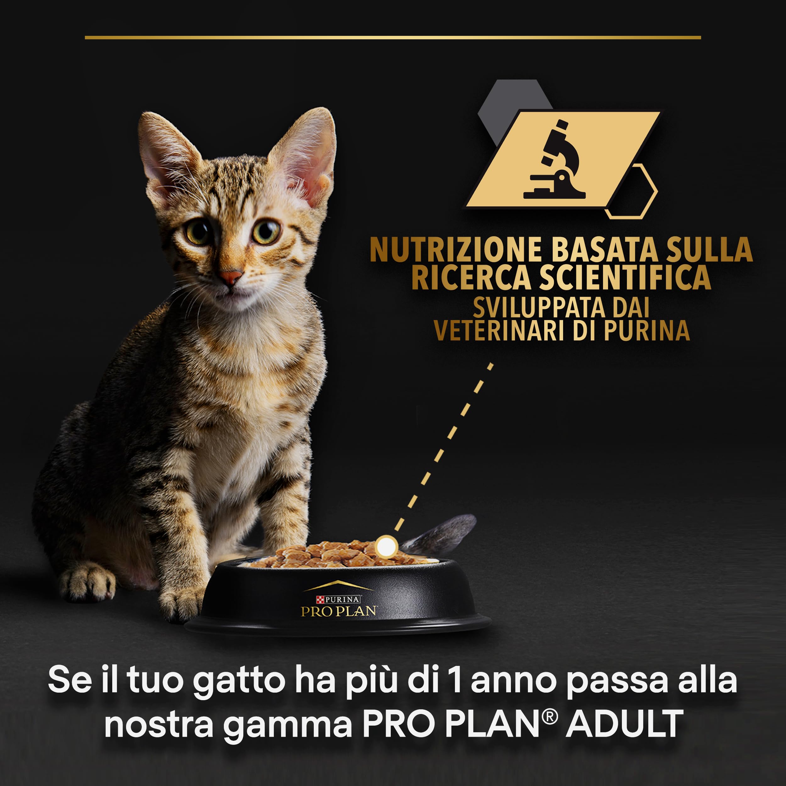 Purina Pro Plan Kitten Cibo Umido per Gattini Pezzettini in Salsa Tacchino, 40 Bustine da 85g