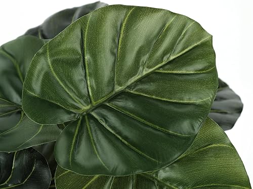 Miniatura 4 de Monarch Specialties I 9578 Planta artificial, 24 pulgadas de alto, Alocasia, interior, falsa, falsa, mesa, vegetación, maceta, tacto real,