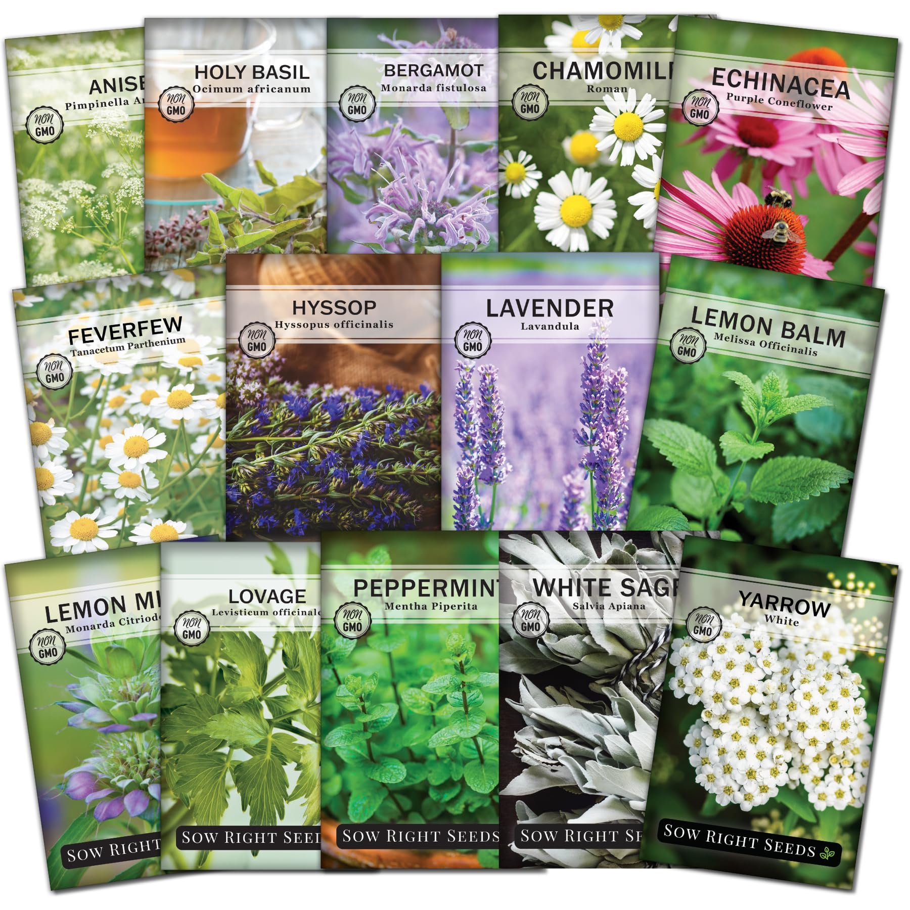 Sow Right Seeds - Large Medicinal Herb Seed Collection for Planting - Chamomile, Echinacea, Lavender, Mint, Lovage, Lemon Balm, & More - Non-GMO Heirloom for Home Remedies, Teas, Tinctures