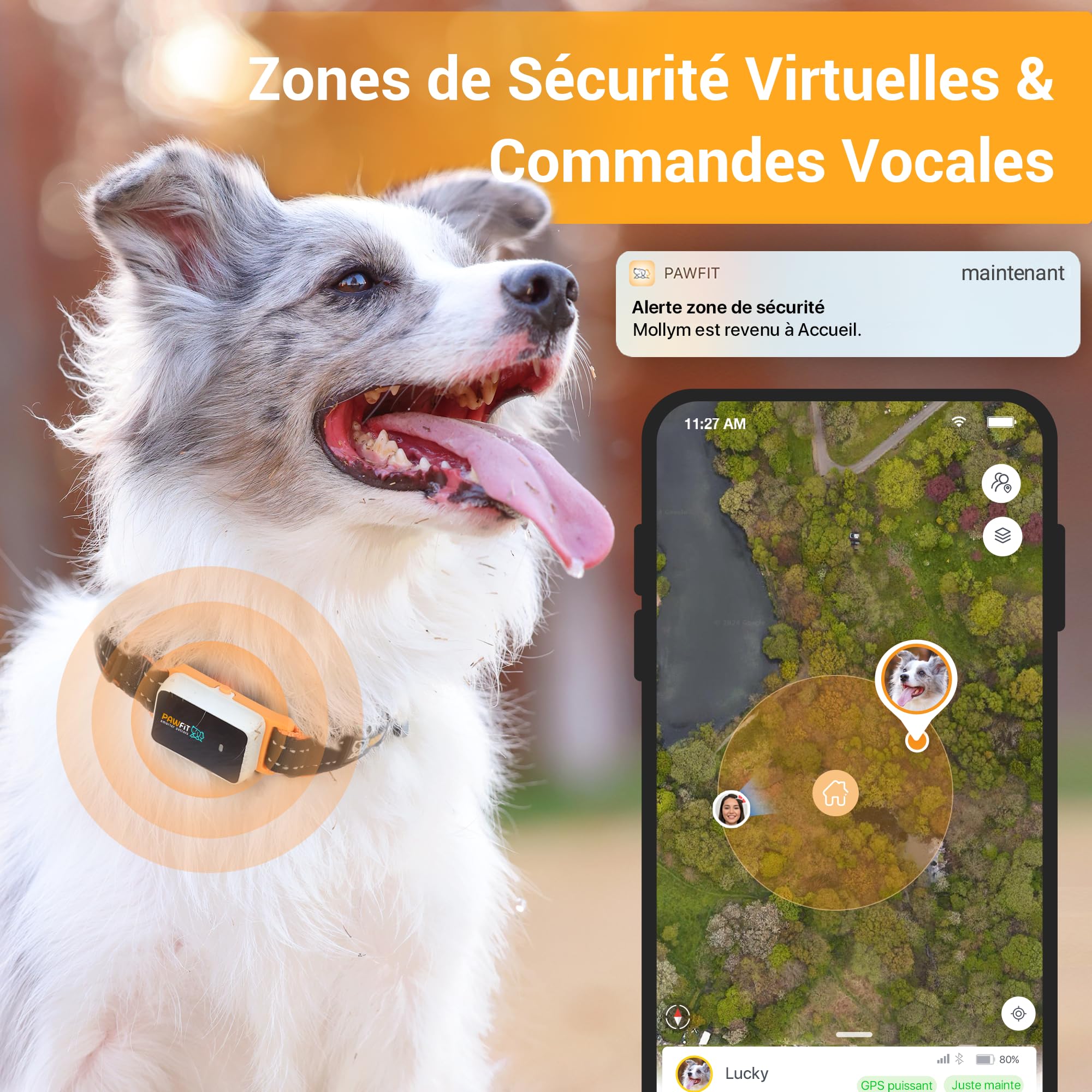 Pawfit 3 Traceur GPS pour Chiens avec Suivi en Direct, Alertes Intelligentes Multiples, Moniteur d'Activité Étanche pour Chats, Portée Illimitée, Rappel Vocal à Distance, Adaptable à Tous les Colliers