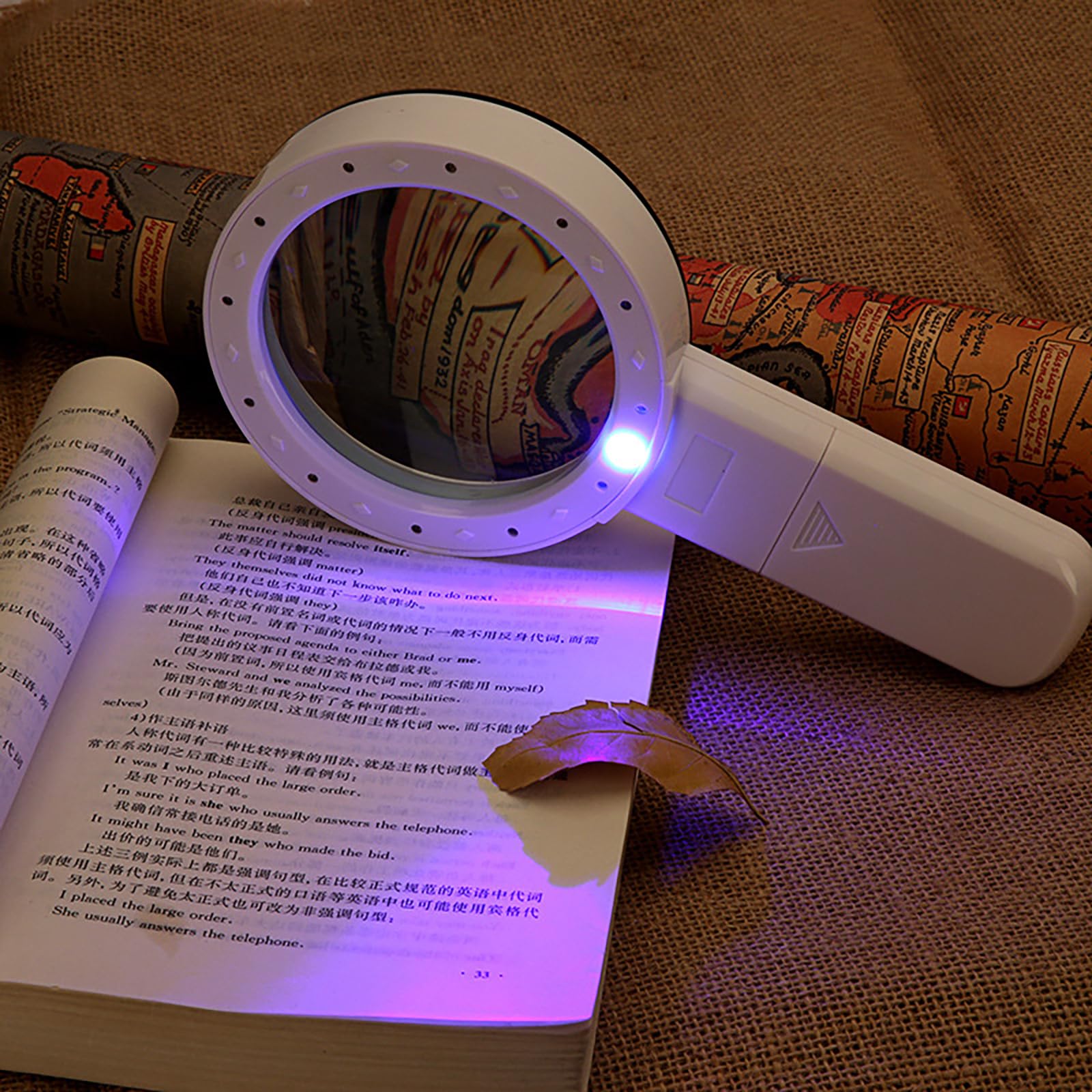 Lupa de Mano con 12 Luces LED, Lente de Vidrio 10X, Lupa iluminada para Lectura, Ideal para Personas Mayores, Lectura de Monedas, Sellos, mapas e inspección.