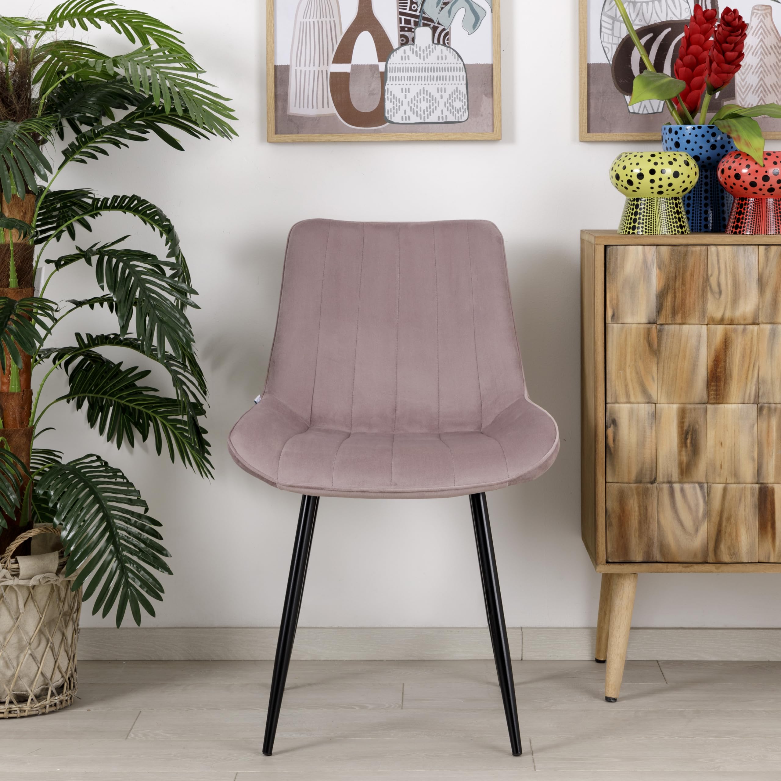 Baroni Home Sedia da Pranzo Moderna con Rivestimento in Velluto e Gambe in Acciaio Nero, Poltrona da Soggiorno, Camera da Letto, Sala da Pranzo, Rosa Cipria, 53x86x44 cm
