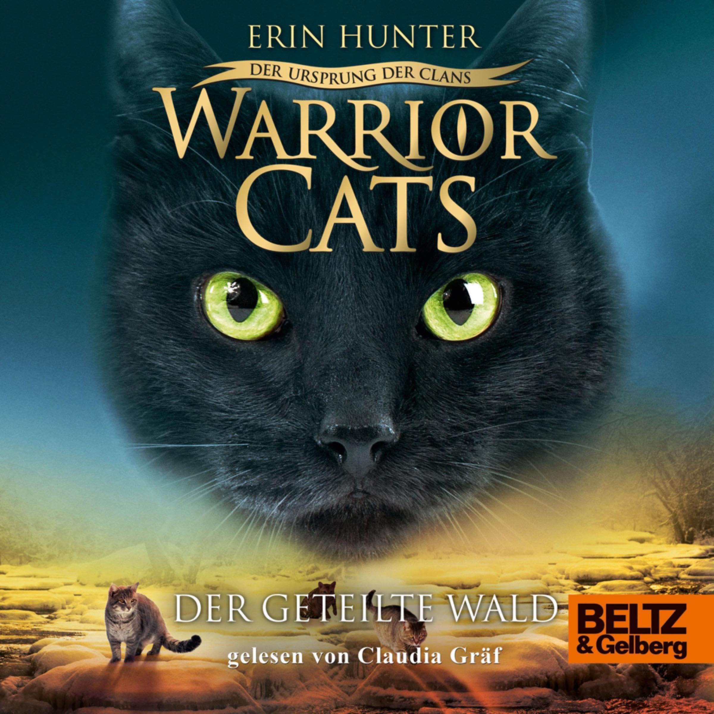 Cover art for Der geteilte Wald