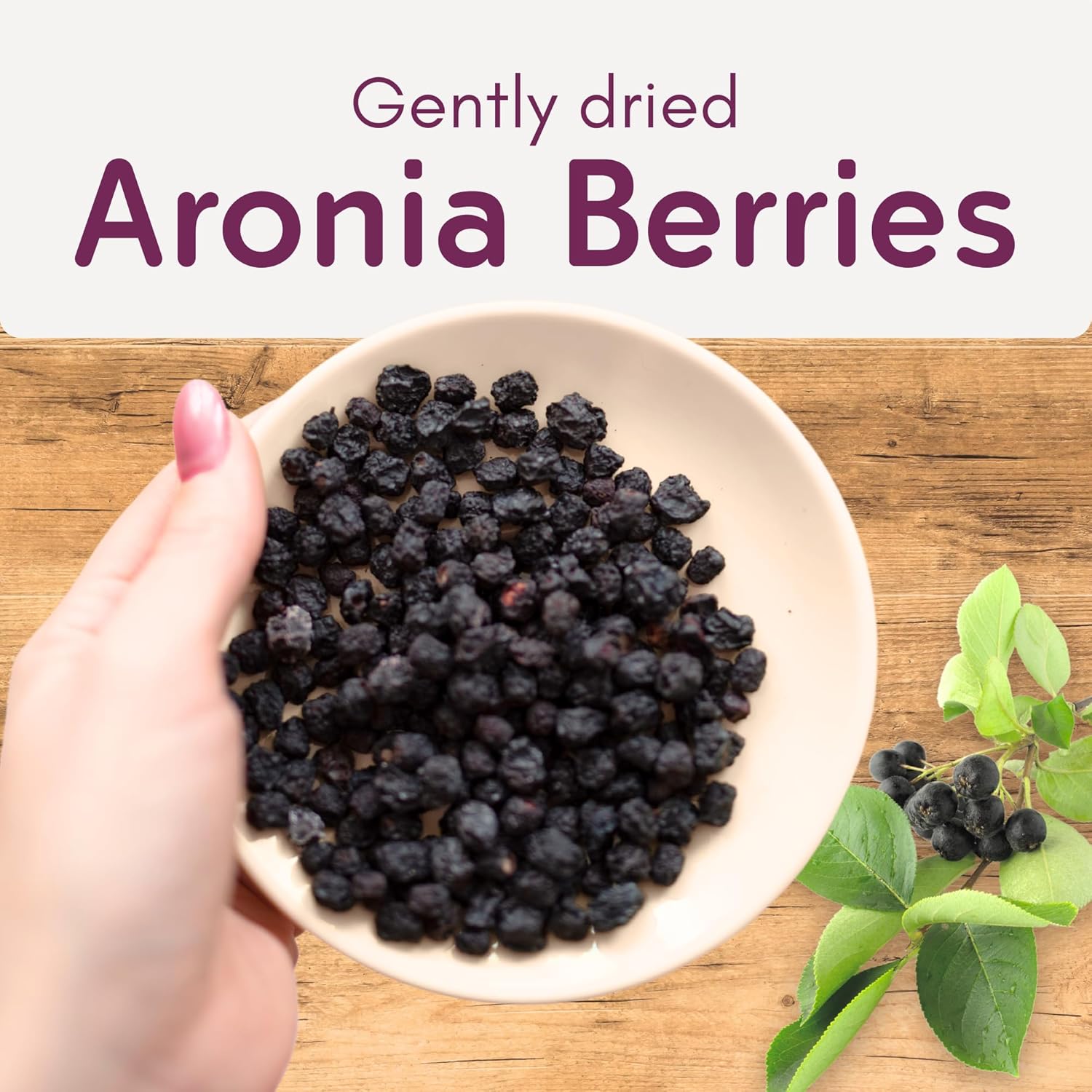 Aronia Original Organic Dried Aronia Berries 17.6 oz (500 g) - Unsweetened Black Chokeberries, Gently Dried After Harvest - Vegan, Non-GMO, No Sulfites or Additives - Image 4