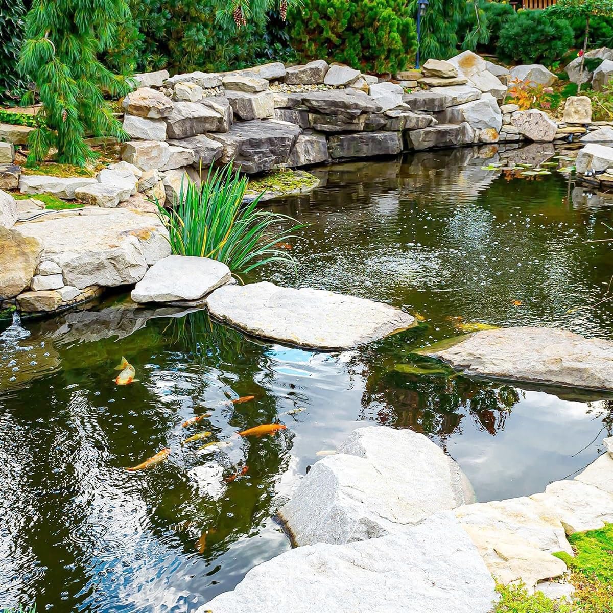 Telo impermeabile per laghetto, 8 x 10 m, copertura resistente per laghetti per pesci, 6 x 8 m, protezione robusta per laghetti da giardino, 4 x 6 m, ideale per cascate, fontane e piante acquatiche