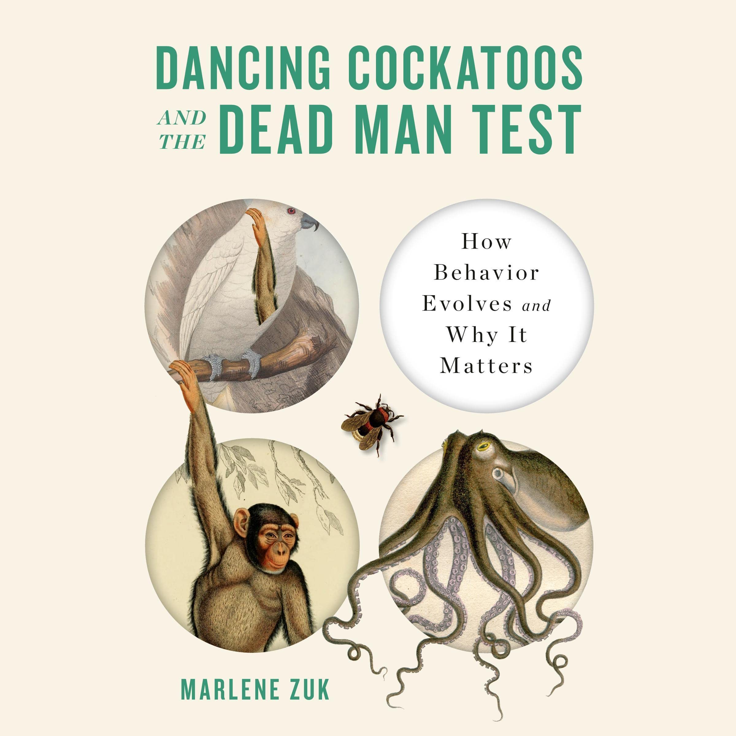 Cover art for Dancing Cockatoos and the Dead Man Test