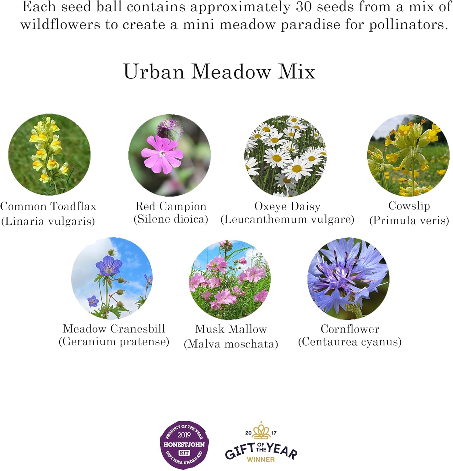 Seedball Garden Meadow Seed Bag, Wildflower Seed Bombs, UK Native