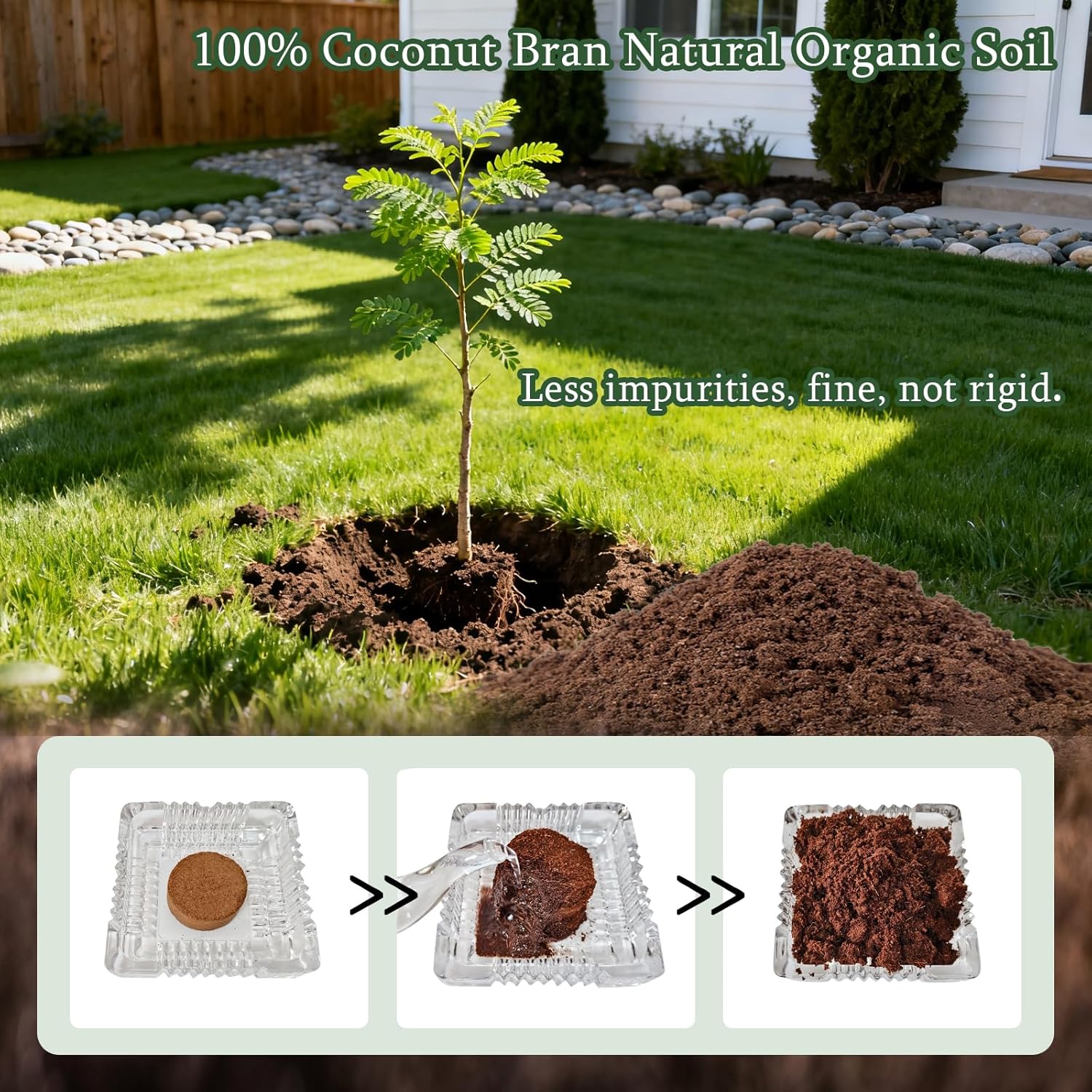 5X Bonsai Starter Kit, Bonzai Seed Kits, Durable Planting Bags, Complete Indoor Starter Kit for Growing Bonsai Plants, Gardening Gifts for Women & Men