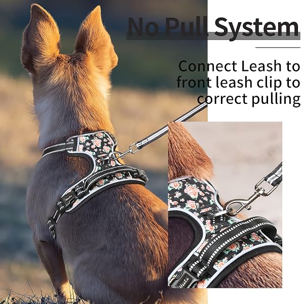 HEELE Arnés Reflectante para Perro, con Control de Mango Acolchado, 2 Anillos de Metal, arnés para Perros pequeños, medianos y Grandes, Flores-Negro, L - 5