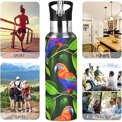 Miniatura 5 de Insulated Stainless Steel Water Bottle with Straw 20 Oz, BPA-Free Sports Water Bottle with Straw for Gym Outdoor Travel School, Vibrant Birds Green