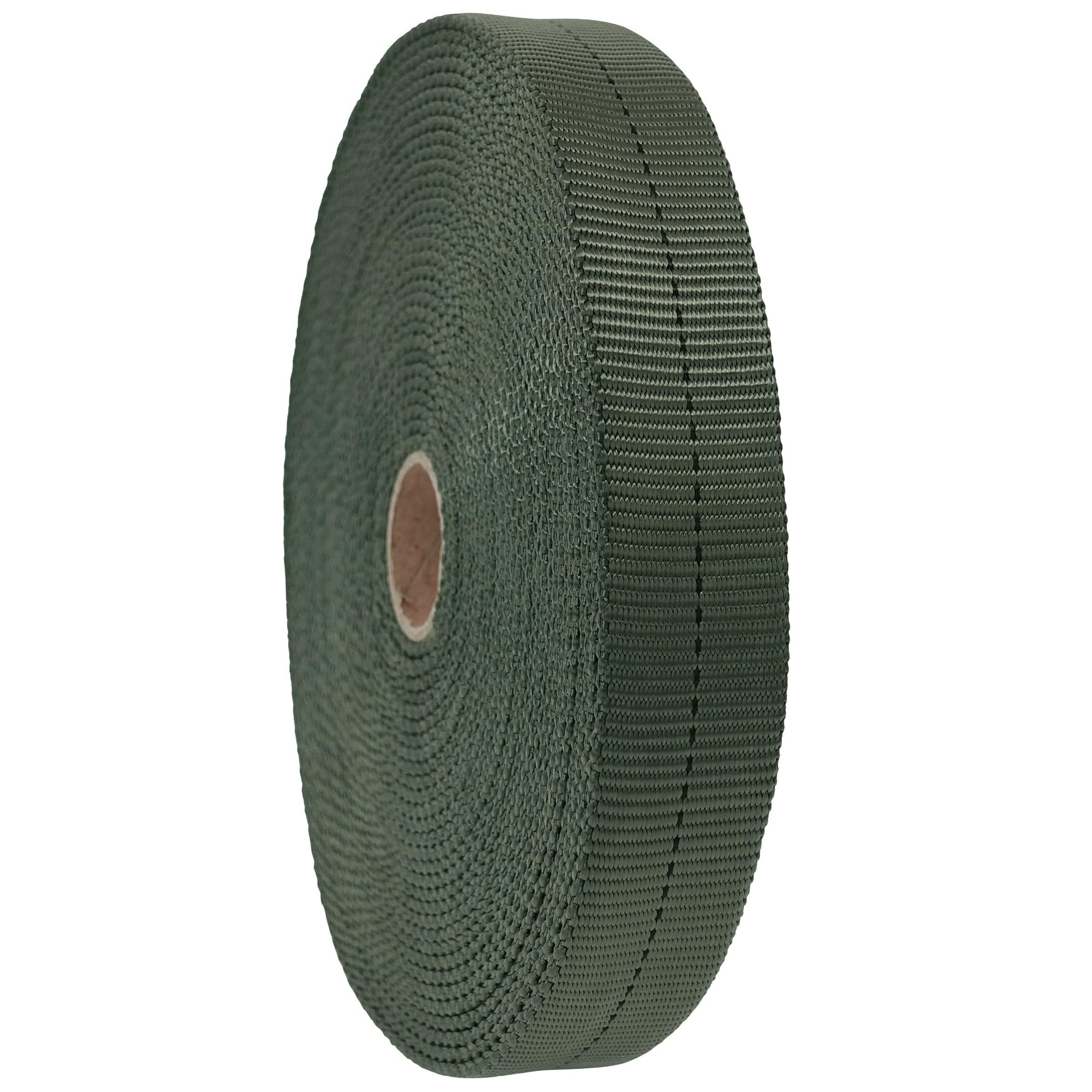 GM CLIMBING 1" MIL-W-5625 Nylon Tubolare Fettuccia Milspecs 4000LB Durevole per Outdoor Tactical Paracadute Arrampicata Salvataggio Sopravvivenza Tie Down 1" x 300Ft Ranger Verde