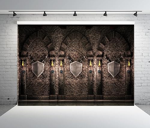 Miniatura 4 de BELECO Telón de fondo de castillo gótico de tela de 20 x 10 pies, castillo medieval, piedra de ladrillo antiguo, arcos de pared con espadas,