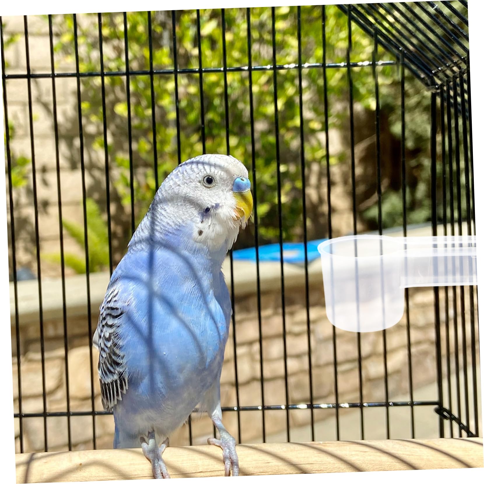 UKCOCO Distributore Acqua per Uccelli 10 Pezzi Doppia Uscita, Bevitore Automatico in Plastica Bianca, Resistente per Pappagalli e Piccioni a Casa o Zoo