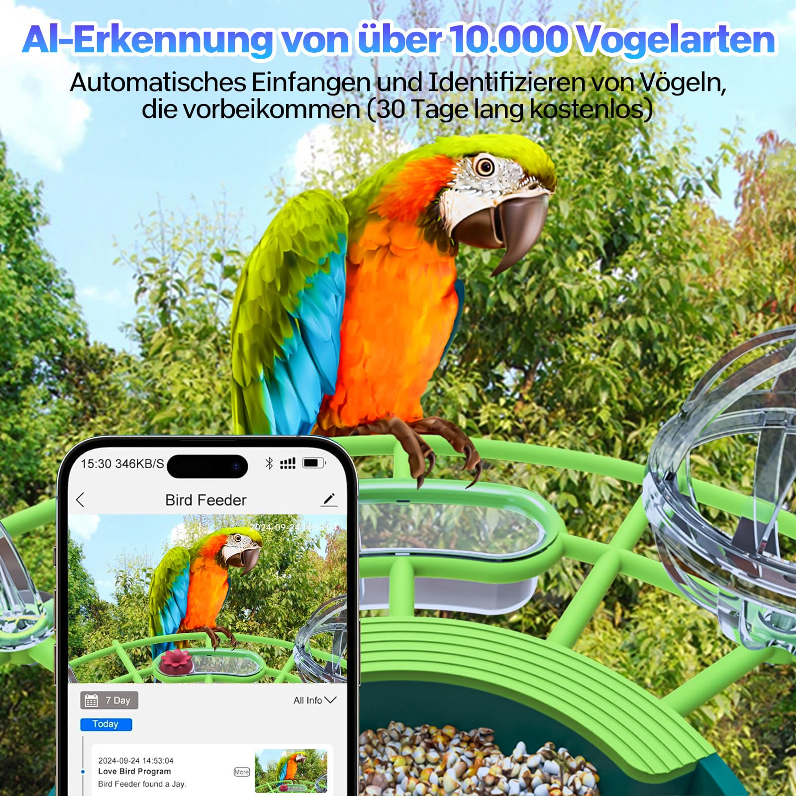 Casetta per uccelli con fotocamera solare per esterni, 4 K, mini macchina fotografica, resistente alle intemperie, IP65, monitoraggio dell'intelligenza artificiale contro gli scoiattoli, regalo senza