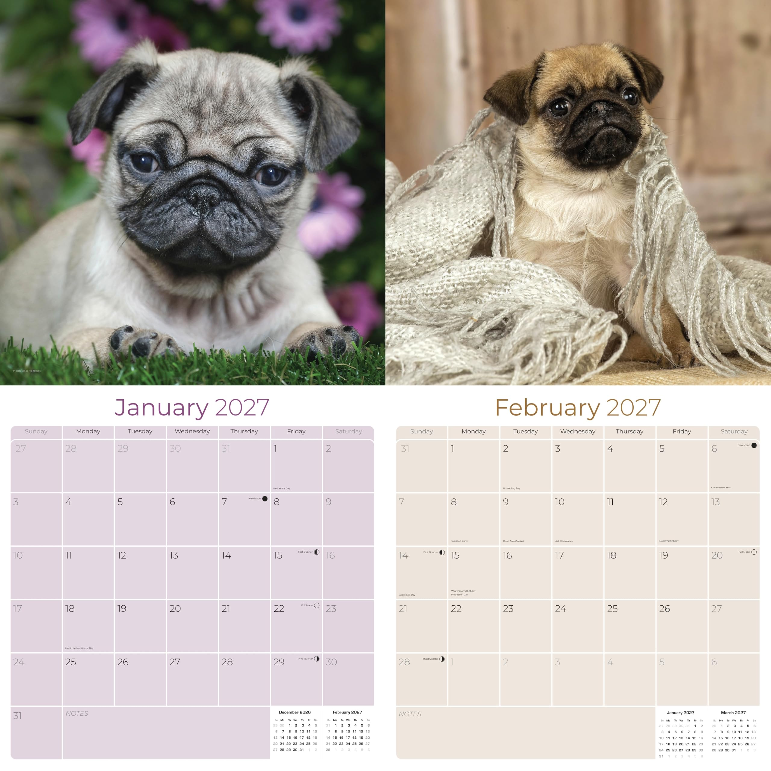 View 2