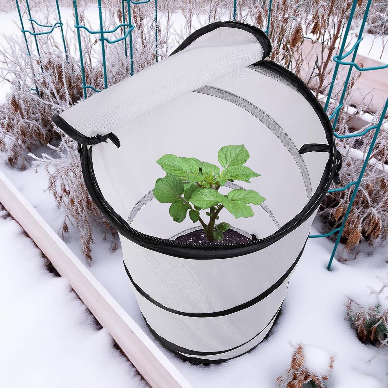 Protection Contre Le Froid Hivernal pour Fleurs D'Extérieur Couverture