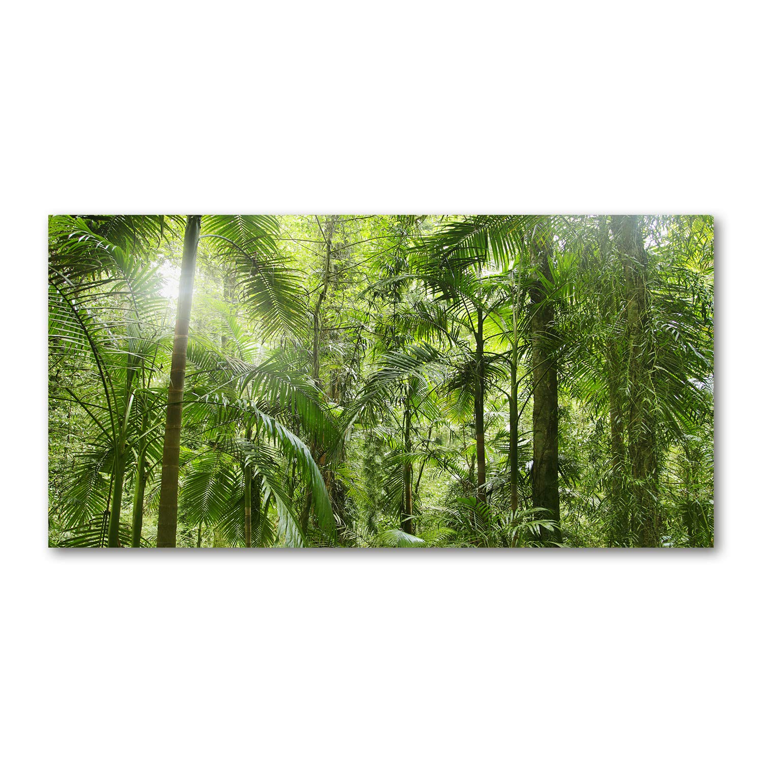 Image acrylique forêt tropicale 120x60cm pour salon zen