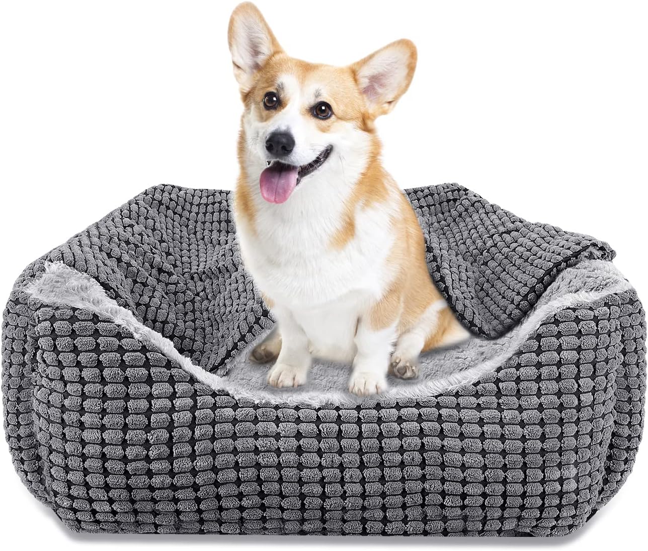 JOEJOY Panier pour Chien Moelleux : Avis et Guide d’Achat sur Lit Rectangulaire Antidérapant Lavable pour Chiens jusqu’à 14 kg JOEJOY Panier pour Chien Moelleux : Avis et Guide d’Achat sur Lit Rectangulaire Antidérapant Lavable pour Chiens jusqu’à 14 kg